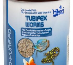 whats the best food for goldfish