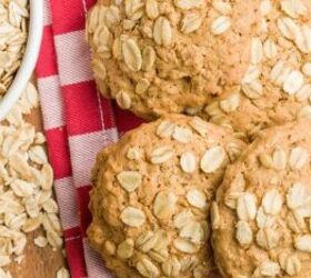 easy diy pumpkin oat dog treats, Oat treats image via Canva