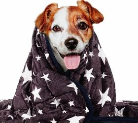 how do calming pillows beds and blankets keep dogs stress free