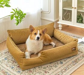 Best Prime Day Bargains for Your Furry Friends