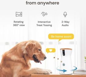 the best amazon prime day deals for pets must have sales roundup, Furbo 360 Dog Camera with Treat Tossing