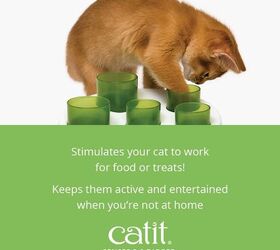 the best amazon prime day deals for pets must have sales roundup, Catit Senses 2 0 Digger Interactive Toys