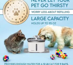 the best amazon prime day deals for pets must have sales roundup, Automatic Pet Water Fountain