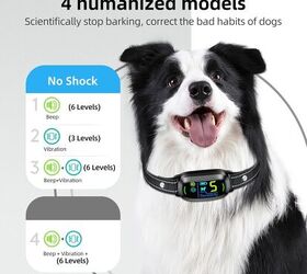 the best amazon prime day deals for pets must have sales roundup, Rechargeable Smart Bark Collar