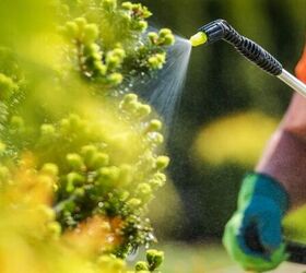 5 common garden hazards to keep away from pets, Fertilizer image via Canva