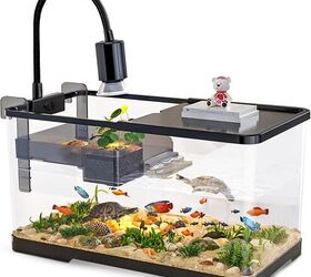 how do i set up a proper terrarium