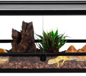 how do i set up a proper terrarium