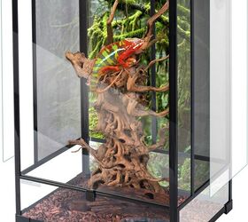 how do i set up a proper terrarium