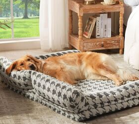 5 smart tricks to ease your dogs separation anxiety, Orthopedic Dog Beds for Large Dogs image via Amazon
