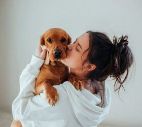 5 Money-Saving Hacks Every Dog Owner Should Know About