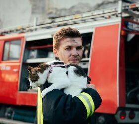 Simple Fire Safety Tips That Could Save Your Pet’s Life
