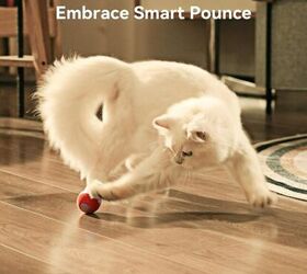 5 toys your cat will love, Cheerble Smart Interactive Cat Ball image via Amazon