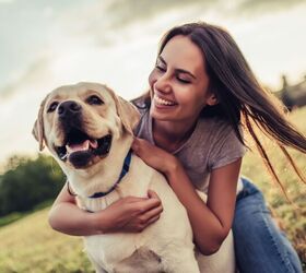 Dogs Are Helping People Deal With Stress More Than Expected