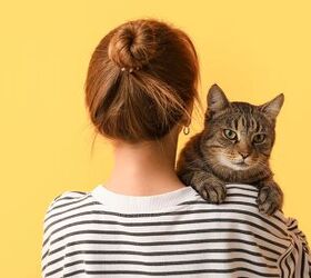 Cat Missing For 13 Years Returns Home to Spend Final Days with Family