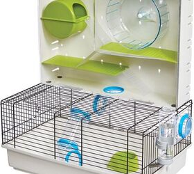 can i keep two hamsters together