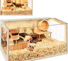 can i keep two hamsters together
