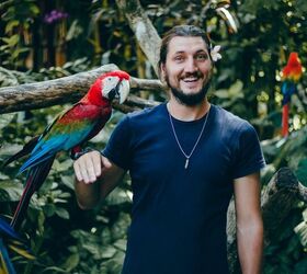 How Do I Teach My Bird to Talk?