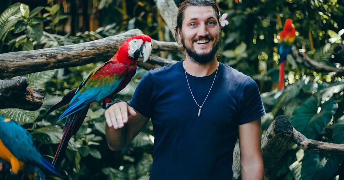 How Do I Teach My Bird to Talk?