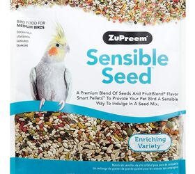 what should i feed my pet cockatiel