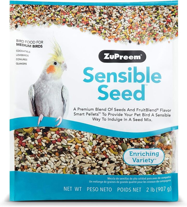 What to Feed Your Pet Bird: Essential Tips for a Healthy Diet
