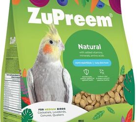 what should i feed my pet cockatiel