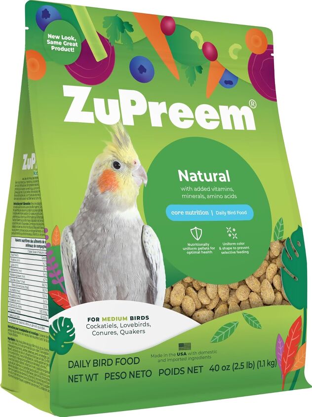 What Can I Feed My Pet Bird: Ultimate Guide to Healthy Choices