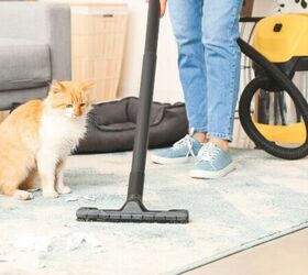 How to Clean Your House Safely When You Have a Furry Friend