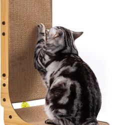 how do cats mark their territory
