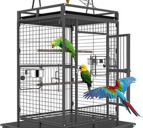 how do i keep my bird entertained