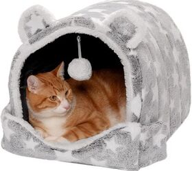how much do cats sleep