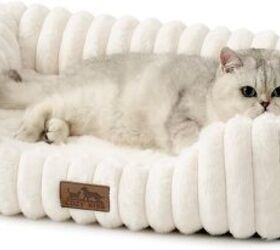 how much do cats sleep