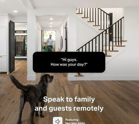 this smart home device solves every pet parents 1 problem, Check in on your pup from anywhere with live video and two way audio