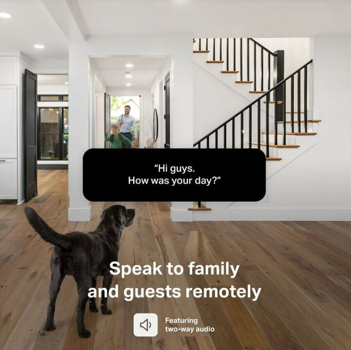this smart home device solves every pet parents 1 problem, Check in on your pup from anywhere with live video and two way audio