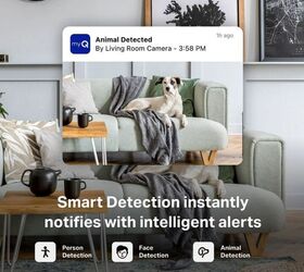 this smart home device solves every pet parents 1 problem, From barking to break ins smart motion alerts keep you one step ahead