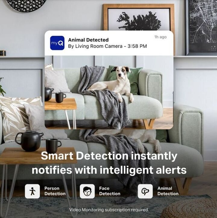 this smart home device solves every pet parents 1 problem, From barking to break ins smart motion alerts keep you one step ahead