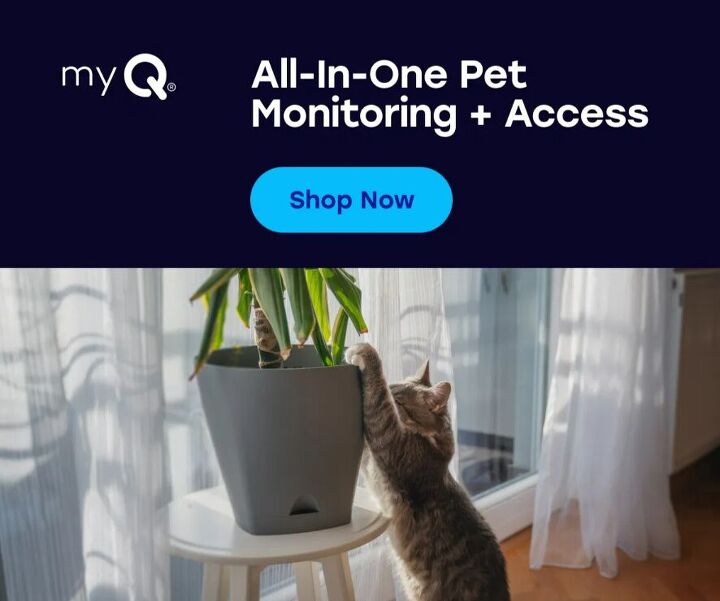 this smart home device solves every pet parents 1 problem, Built for busy pet parents who want to stay connected with ease