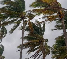 7 essential tips for keeping your pets safe this hurricane season, Hurricane image via Canva