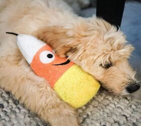 3 fun toys to treat your pup this fall, Huxley Kent Halloween Power Plush Dog Toy with Squeaker image via Amazon