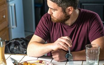 A closer look at Blocking Rapid Dog Eating