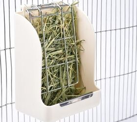 adding a degu to the family let s get you properly set up