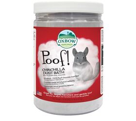adding a degu to the family let s get you properly set up