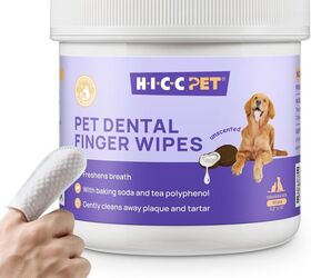 quick doggy clean up hacks to keep your pooch looking his best