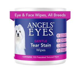 quick doggy clean up hacks to keep your pooch looking his best