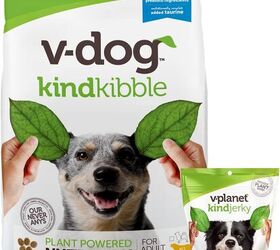 vegan dog food don t rule it out
