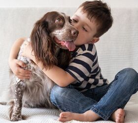 How a Rescue Dog's Loyalty Built His Family a New Home