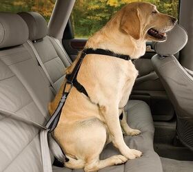 simple tips for keeping your pets safe in the car, Kurgo Swivel Tether Strong Dog Restraint Heavy Duty Car Leash image via Amazon