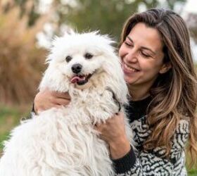 why is my dog suddenly losing so much fur, Happy dog image via Canva