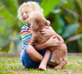 4 things families should discuss before bringing a new pet home, Kid with puppy image via Canva