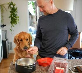 Unlock Better Health for Your Dog Through the Power of Nutrition