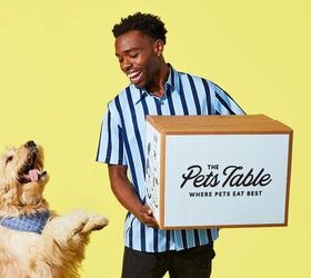 is your picky pup turning their nose up again heres a tasty fix, The Pets Table